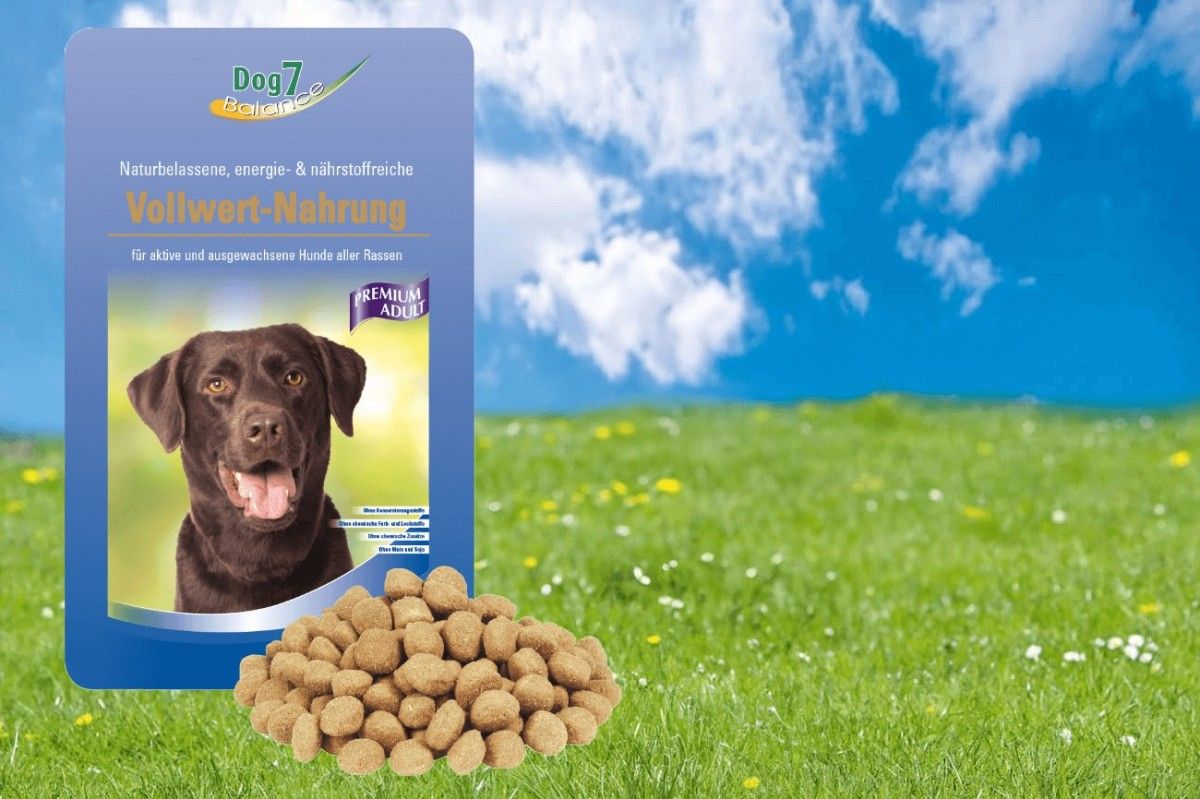 Dog 7 Balance Premium Adult