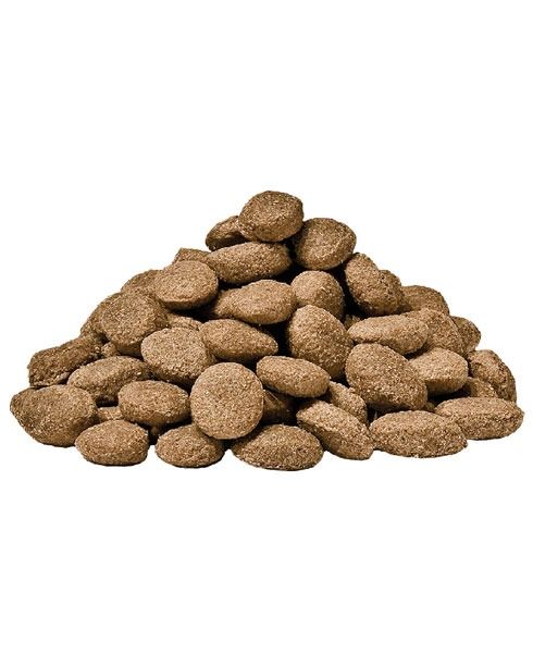Dog 7 Balance Hypo Allergenic