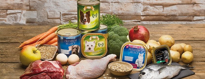 ARAS Hunde Katzen